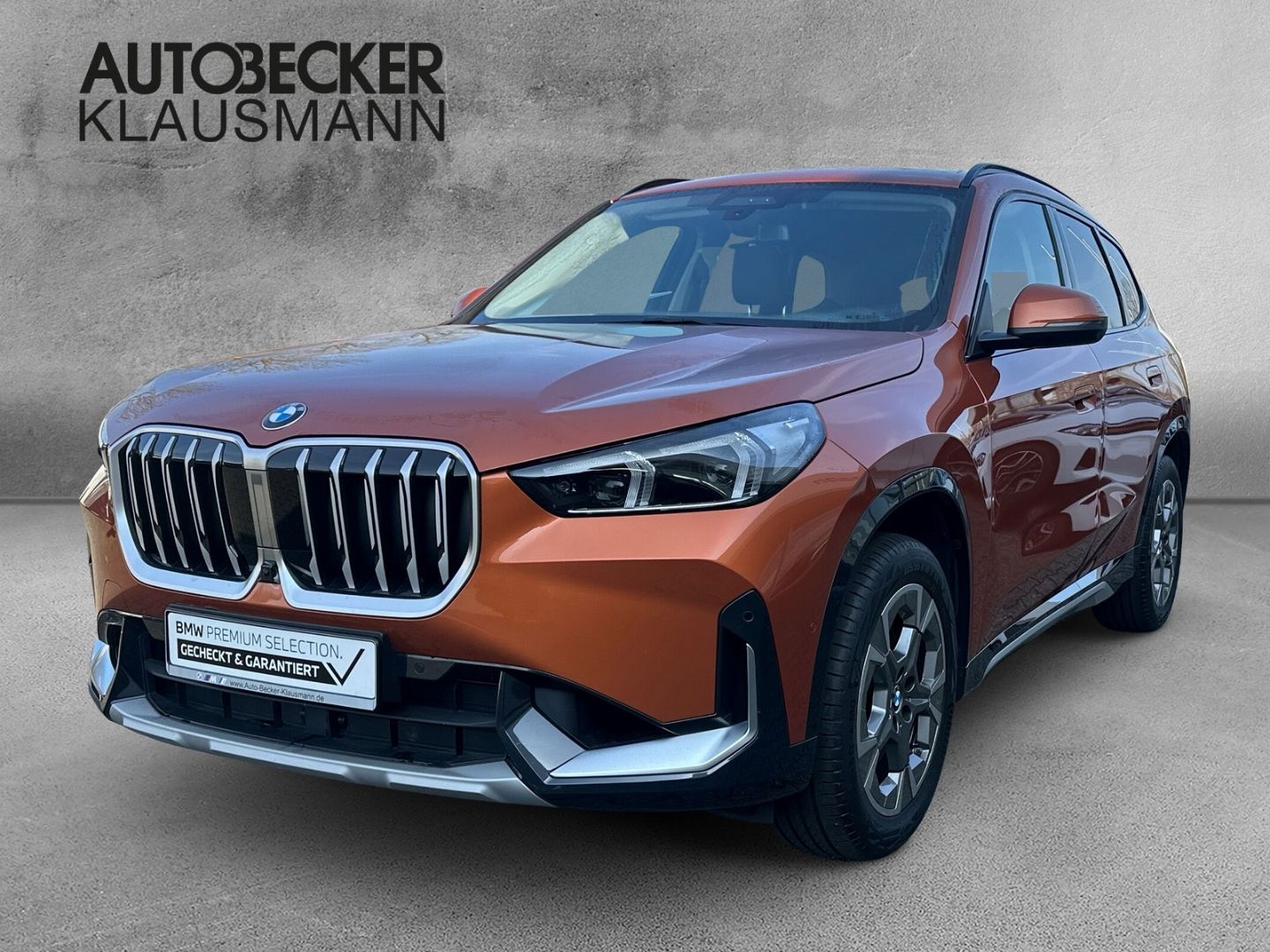 BMW X1 xDrive23i xLINE 18''LC PROF AHK HuD PANO SPOR foto 1