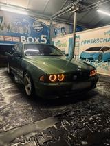 BMW Bmw E39 523i Individual Meergrün M Paket A... - BMW 523 in Essen