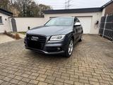 Audi SQ5 3.0 TDI tiptronic quattro - AHK B&O Navi Led - Audi SQ5 in Dortmund