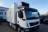 MAN TGL 12.180 Kühlkoffer Carrier D/Strom Blumen - MAN Tgl 12 180