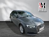 Audi A3 SPORTBACK 35 TFSI OPF   NAVI XENON-PLUS LM16  - Audi A3: 16