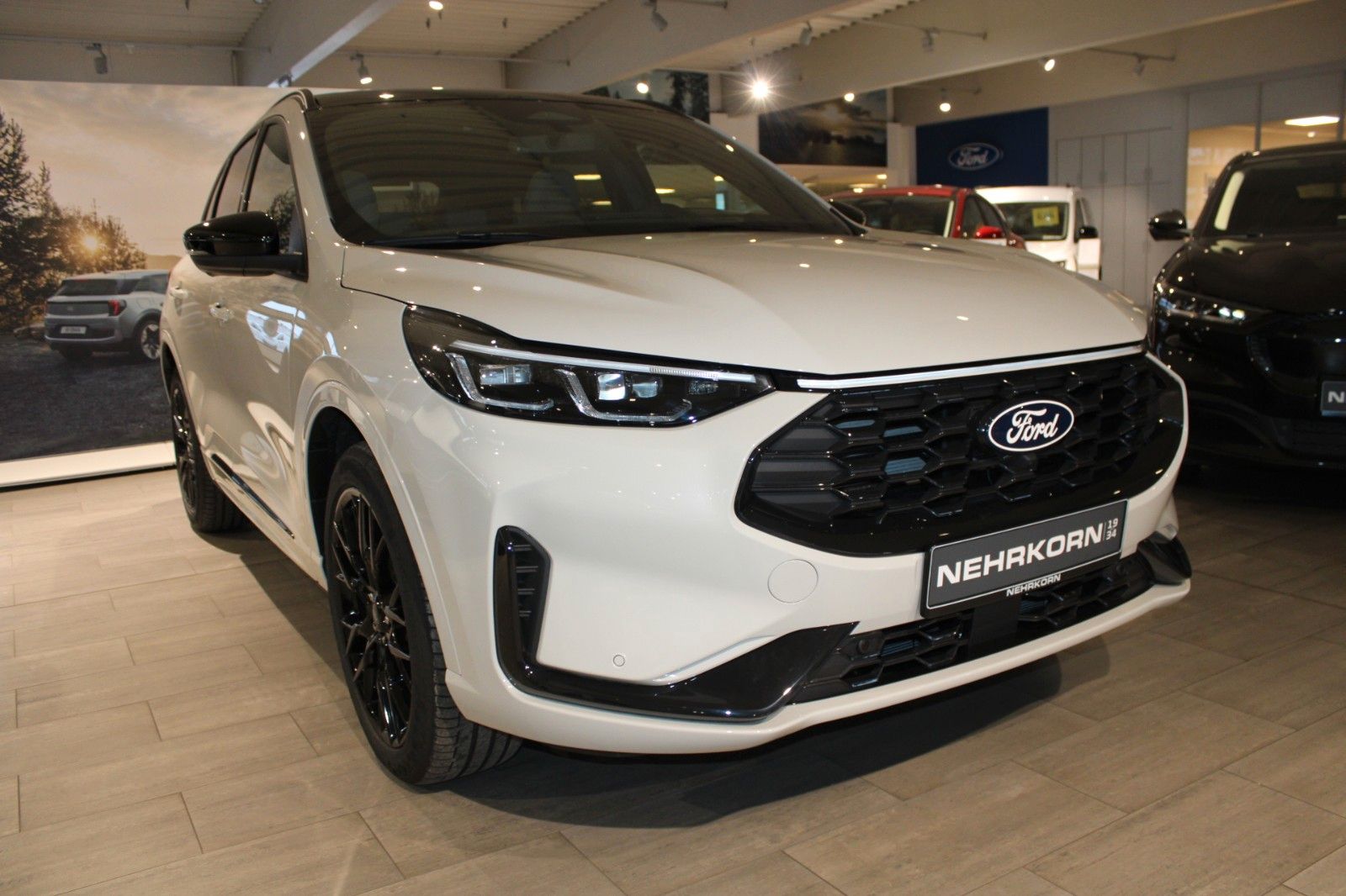 Fahrzeugabbildung Ford Kuga 2.5 Duratec FHEV Sound Edition X ECVT