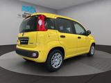 Fiat Pandina 1.0 GSE Hybrid 48 kW ICON - Fiat New Panda in Bonn