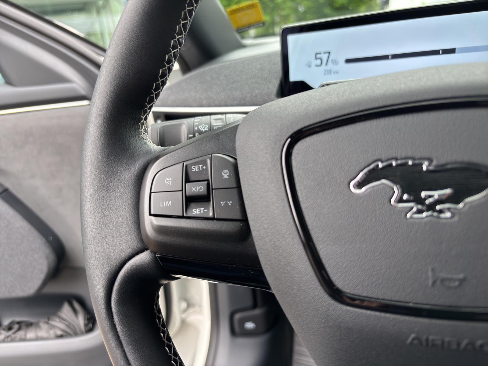 Ford Mustang Mach-E GT Dual-Emotor Ext Range 358kW AW