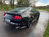 Ford Mustang GT 5.0 V8 US Performance Package+Klappe - Ford Mustang: Performance