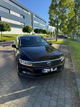 Volkswagen Pasat - Volkswagen: Pasat