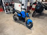 Honda MSX 125 Grom 2025 Blau *Tageszulassung 08-25* - Honda MSX125 Grom