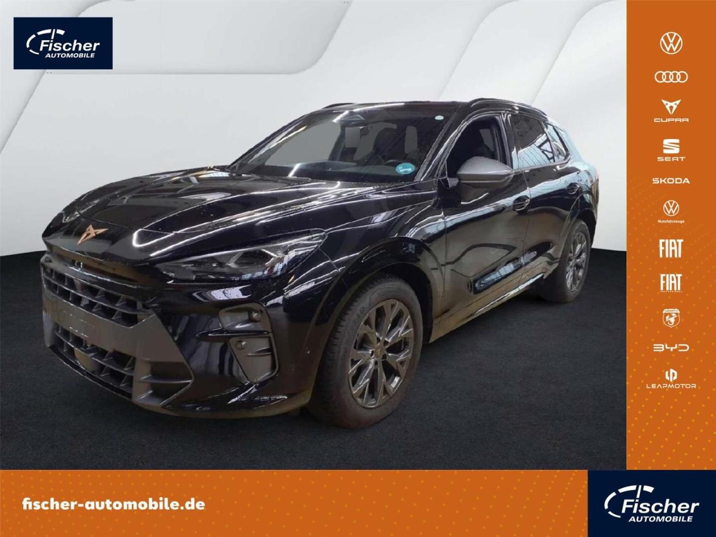 Cupra Terramar 2.0 TSI DSG 4Dr. HUD/Memory/360°/Matrix