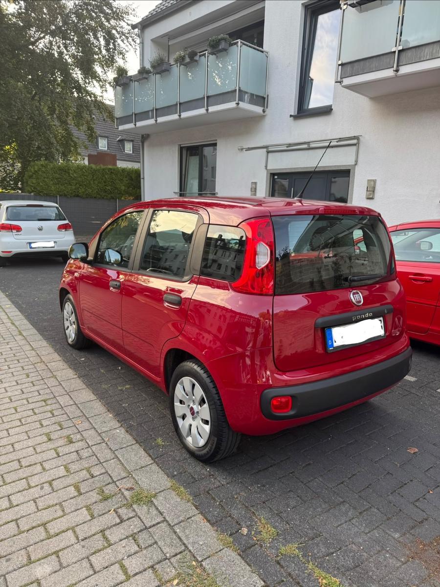 Fiat Panda - NUR 25.000km - Rentnerfahrzeug 2. Hand