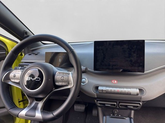 BYD DOLPHIN SURF