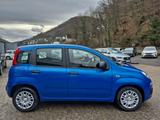 Fiat Panda 1.0 Pandina Icon Klima PDC Bluetooth Temp. - Fiat Panda: Pandina