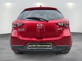 Mazda 2 "Sports-Line" "TEC-P" "TOU-P" "LIC-P" - Mazda 2 aus 2018