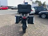 BMW R1200GS. ESA,  Koffer, Topcase, - Motorräder in Münster