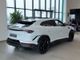 Urus 4.0 V8 Performante Full Carbon Full PPF