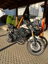 Triumph Tiger 800 - Triumph Motorräder in Karlsruhe