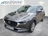 Mazda CX-30 SELECTION AHZV MATRIX NAVI 360°KAMERA HUD - Mazda CX-30 Selection mit Hybrid-Antrieb (Benzin/Elektro)