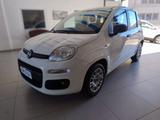Other Fiat - Offers