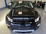 Land Rover Evoque 2.2 SD4*DYNM*AUT*BI-XN*PANO*RFK*MERD*MMRY - Land Rover Range Rover Evoque aus 2014