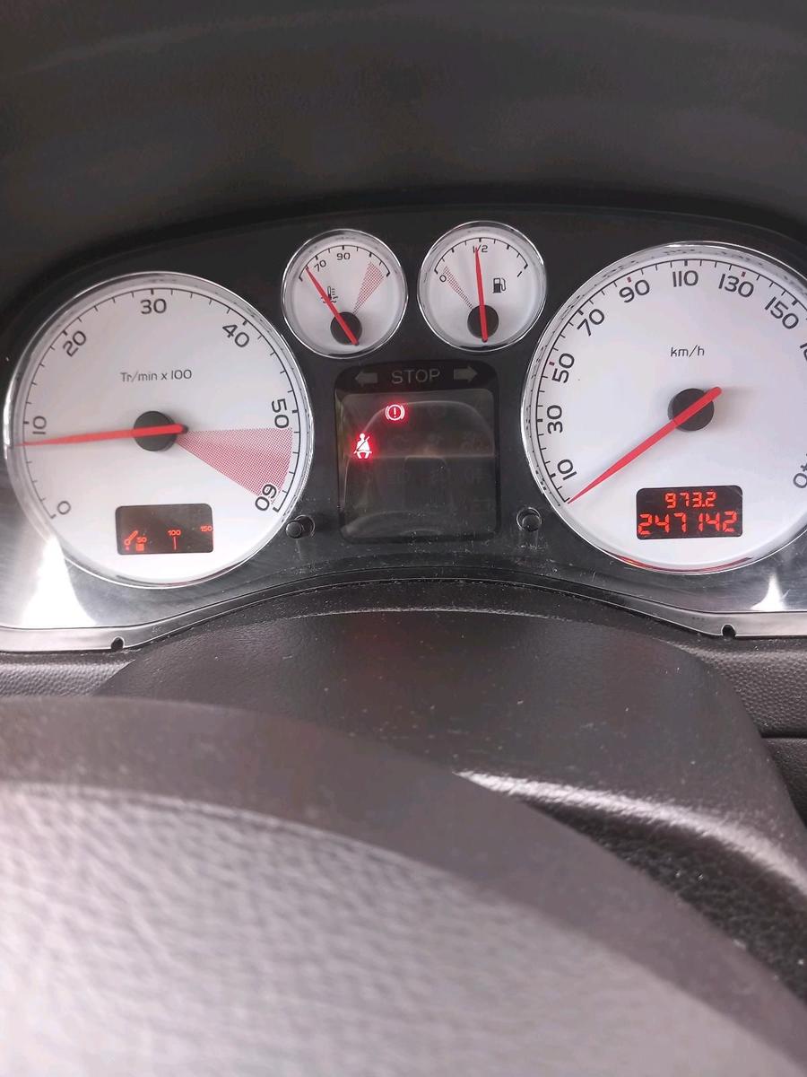 Peugeot 307 2008 — photo 14