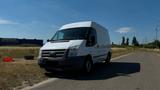 Ford Transit Transporter mit Rückfahrkamera - Ford: Transporter