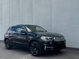 BMW X5 xDrive 40 e Steptronic Panorama Euro 6 - BMW X5: 4.6