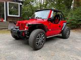 Quadix Buggy 1100 GSMoon neuwertig  - BUGGY