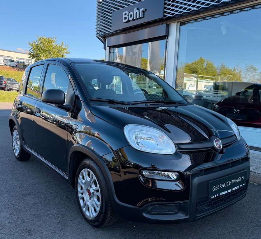 Image of Fiat Panda