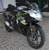 Kawasaki BX125A Ninja 125 silber/schwarz/grün  - KAWASAKI VON 81 BIS 125 CCM