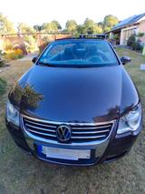 Volkswagen Eos 1.6 FSI Standard - Volkswagen Eos Standard mit Benzin-Antrieb