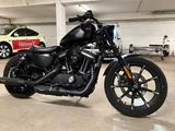 Harley-Davidson IRON 883 - HARLEY-DAVIDSON IRON 883
