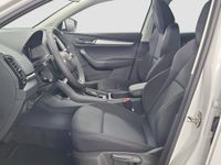 Skoda Karoq - Vorschau Bild 9