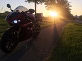 Triumph Daytona 675 - Triumph Motorräder in Bremen