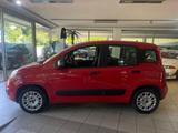 Fiat Panda 1.2 KLIMA PDC ISOFIX EL. FENSTERHEBER - Fiat Panda: Rot