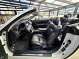Lexus LEXUS IS 250 F-SPORT 2.5 V6 CABRIO/COUPE 208cv - Lexus IS 250: Cabrio