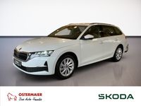 Skoda Octavia - Vorschau Bild 1