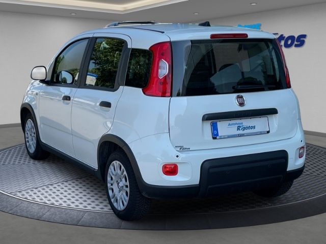 Fahrzeugabbildung Fiat Panda 1.0 Mild-Hybrid DAB, Tempomat, Einparkhilf