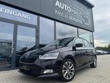 Skoda Fabia Clever Best of 1.0 TSI/DSG/ACC/LED/PANO - Skoda Fabia Gebrauchtwagen in Braunschweig