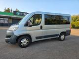 Fiat Ducato Luxusbus Panorama 30 150 L1H1 9 Sitze. - Fiat Ducato: Panorama Luxusbus