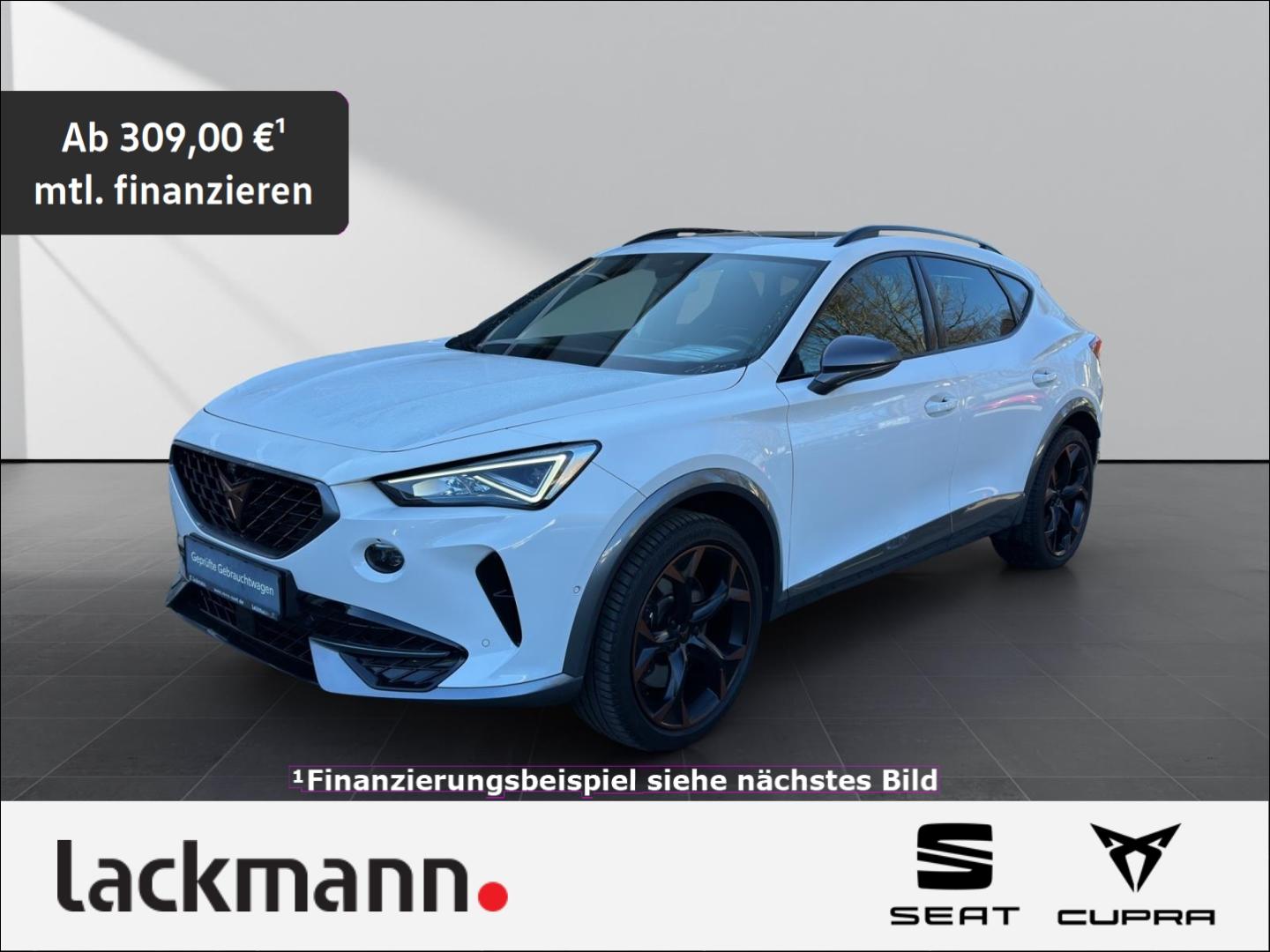 Cupra Formentor 2.0*Pano*Leder*eHeck*Beats*360*Kessy*