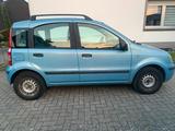Fiat Auto FIAT Panda (Typ 169) - Fiat Panda in Hamm