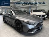 Mercedes-Benz SL 43 AMG PREMIUM+GUARD-REALPERF SOUND-SITZKLIMA - graue Mercedes-Benz SL 43 AMG