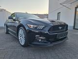 Ford Mustang 5.0 Ti-VCT GT V8 Premium Mwst.*Deutsche - Ford Mustang in Mainz