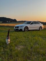 BMW F30 335i Deutsches Fahrzeug  - BMW 335: 335d