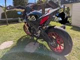Aprilia RSV4 RF - Angebote