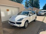 Porsche Cayenne Diesel - Gepflegter Garagenwagen - Porsche Gebrauchtwagen in Brandenburg an der Havel