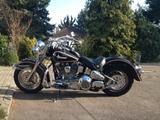 Harley-Davidson FXST Softail Custom - HARLEY-DAVIDSON 1989