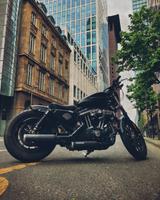 Harley-Davidson Sportster XL 883N Iron - HARLEY-DAVIDSON SPORTSTER XL 883 N IRON