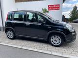 Fiat Panda Base Mild Hybrid Klima 19995km - Fiat Panda Kleinwagen Km h mit Benzin-Antrieb