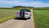 Ford Mustang Cabrio 4L V6 LPG  - Ford Mustang aus 2005: V6