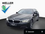 BMW 530e LuxuryL ACC RFK LiCoPro